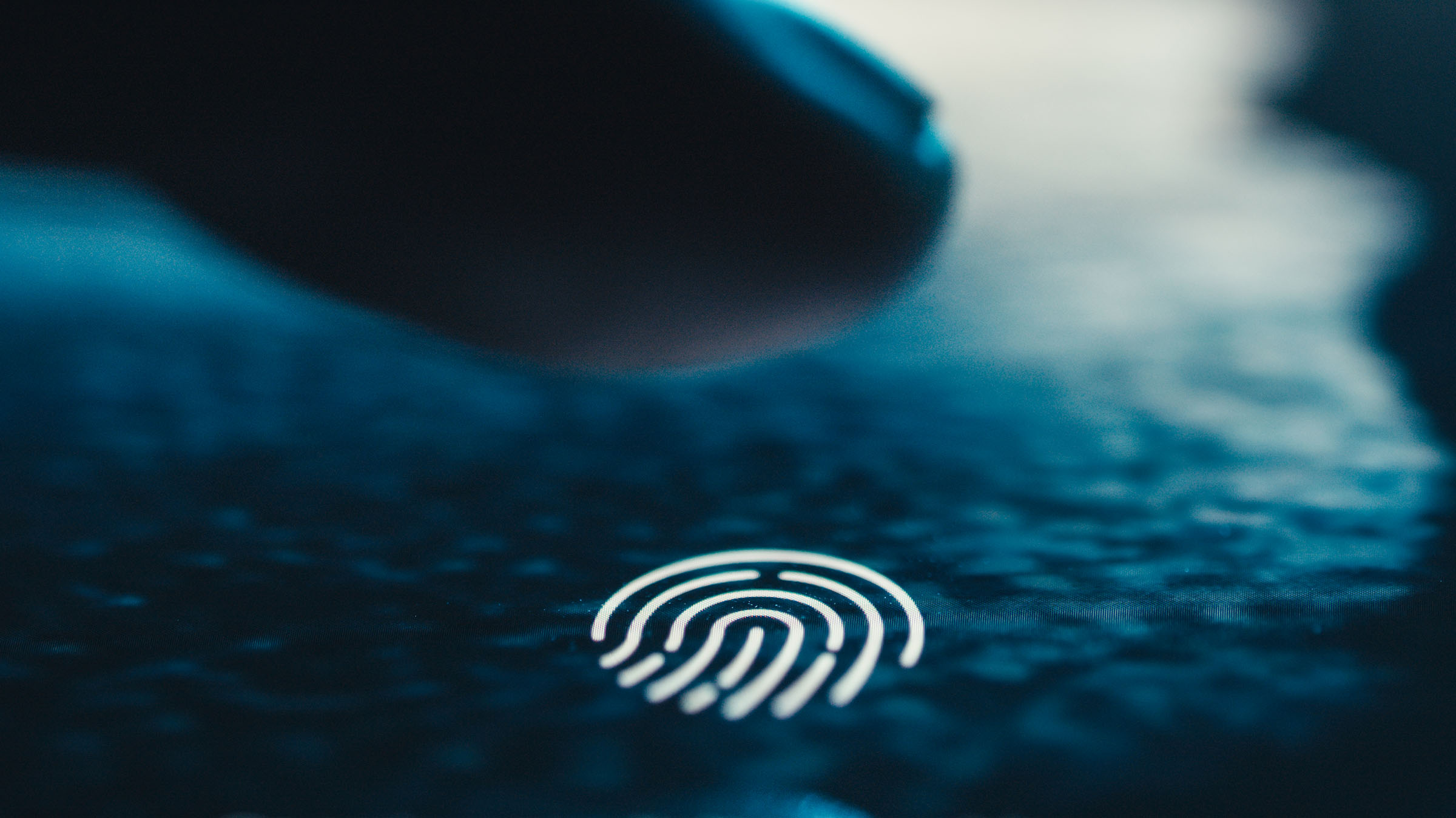 Biometric fingerprint reader for access control